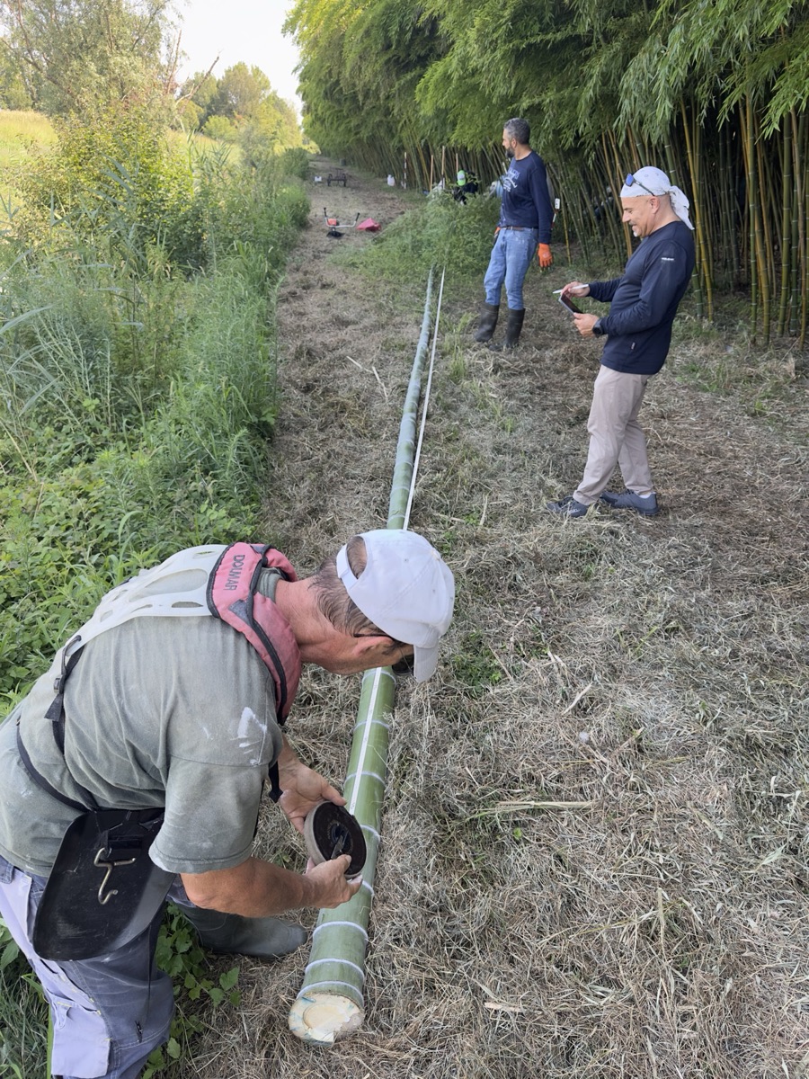 La squadra al lavoro nel bambuseto