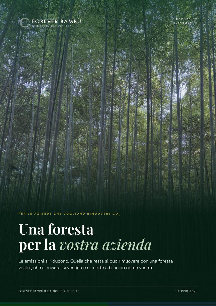 Copertina del documento Una foresta per la vostra azienda